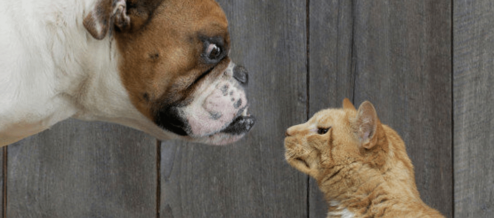Blog post featured image